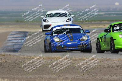 media/May-03-2024-PCA Central Coast (Fri) [[eaa7da0ee1]]/Red Group/Session 1 (Grapevine)/